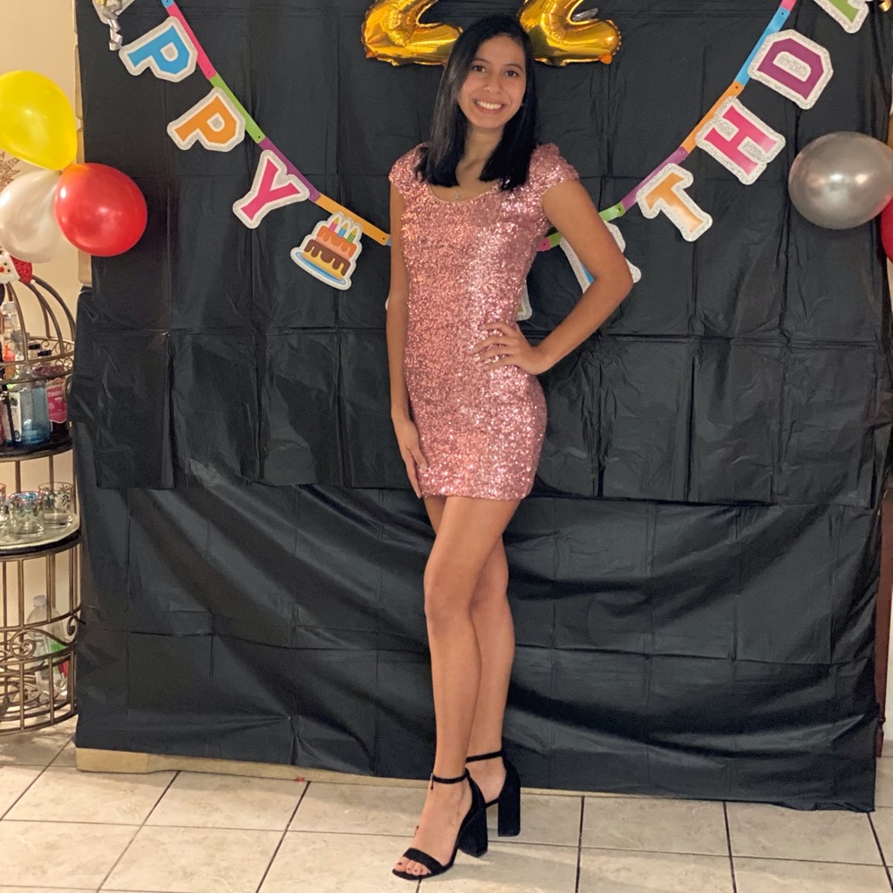 Dress the Population pink sequin dress